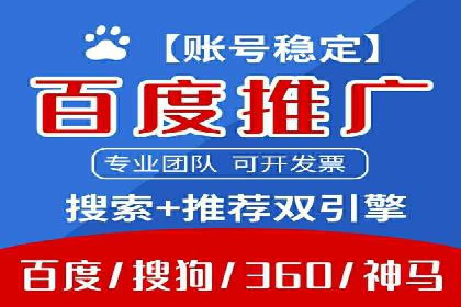 网络推广竞价策略案例分析